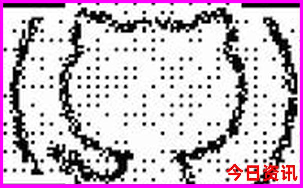 迪斯尼游玩功略先玩什么项目